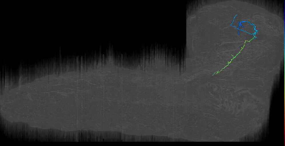 MB2IN-64 (L1EM:5996485)