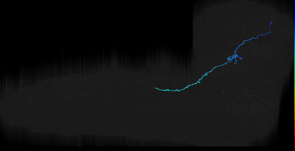 DALd descending thin right; DALd_r 4 neuron 6155578 small (L1EM:6155577)