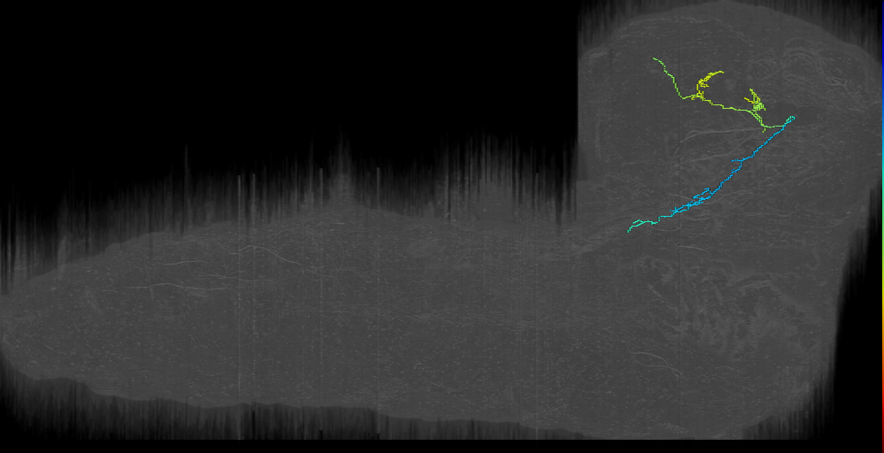 MB2IN-64 (L1EM:7130033)