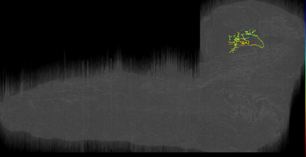 BLAl_l-X left (L1EM:7388340)