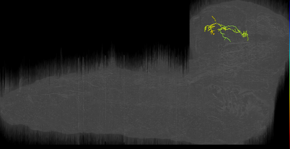 MB2ON-227 (L1EM:7582489)