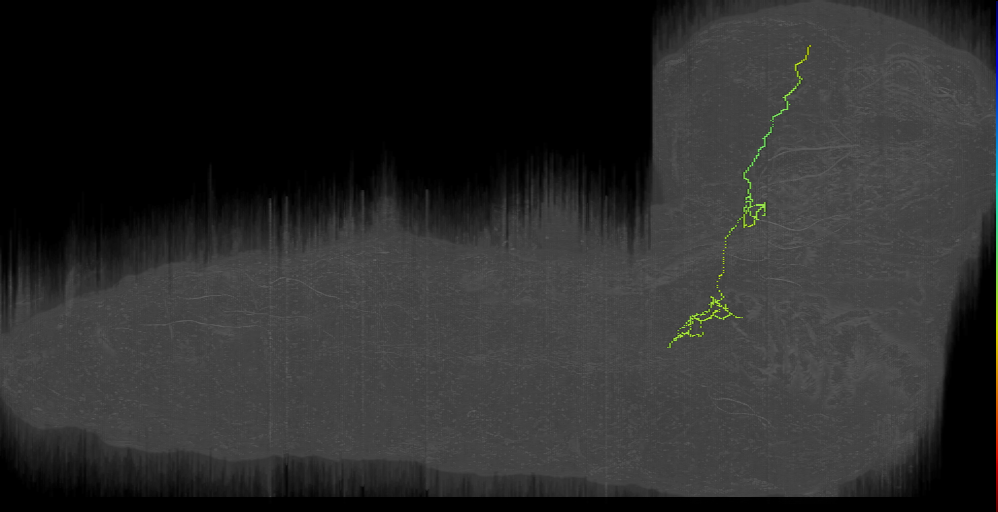 DPMl12 ant Left (L1EM:7955278)