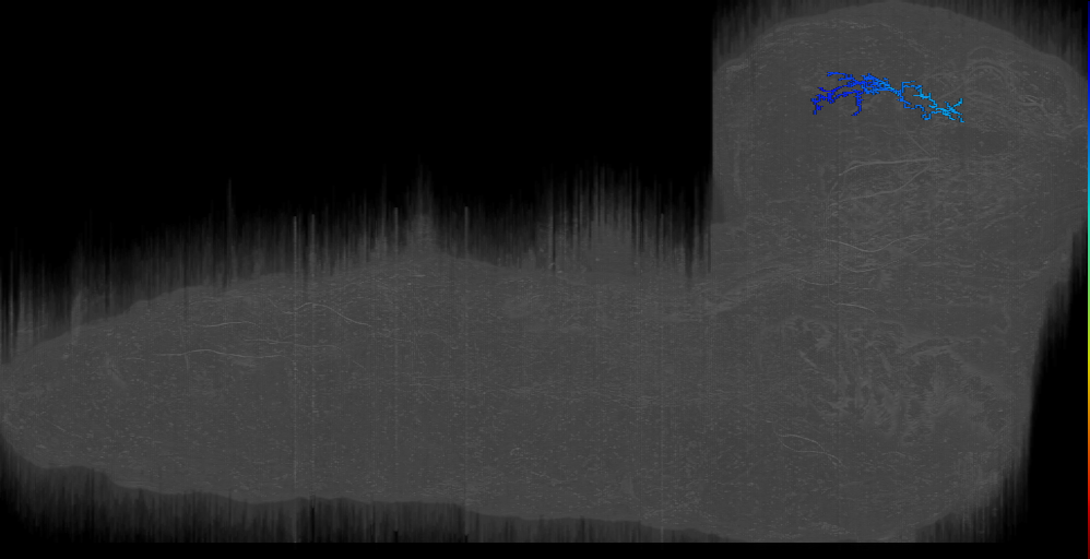 like thermo AP right (L1EM:8305958)
