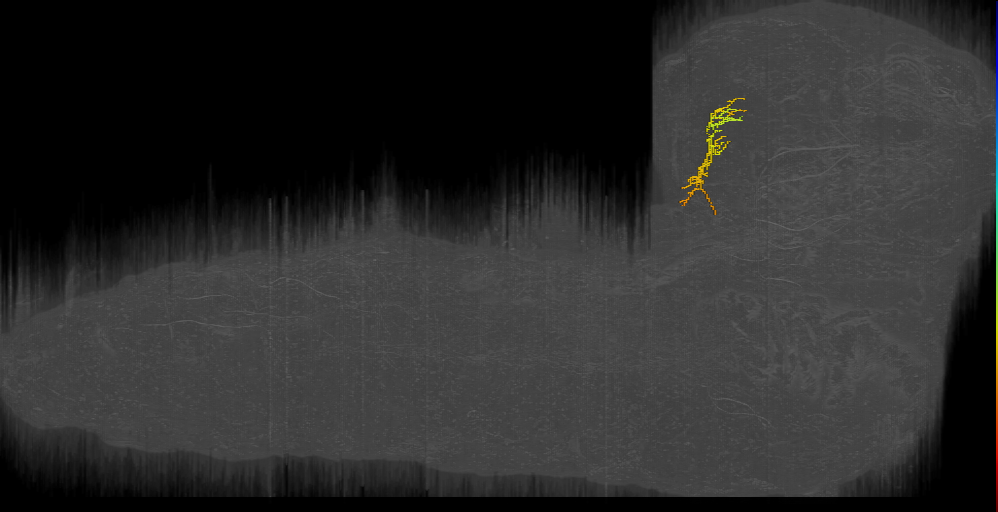 FLON;left (L1EM:8398900)
