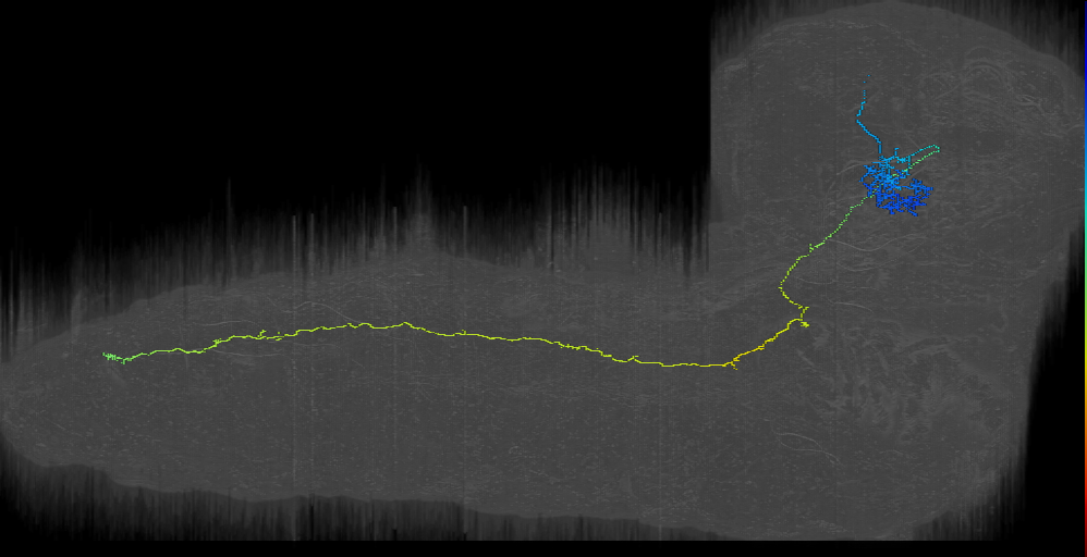 DNs-17_right (L1EM:8496618)