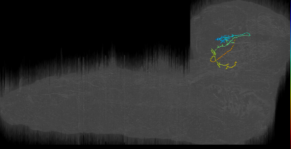 From Visual to CPM? left (L1EM:8801715)