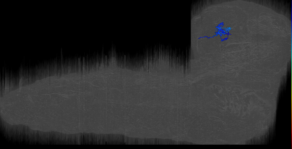 Cheech right (L1EM:8932110)