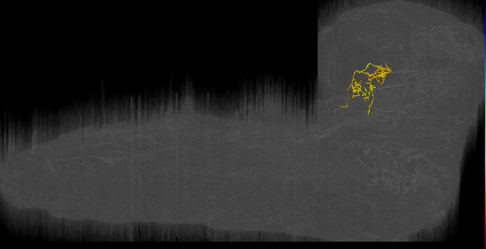 BLVa hook 1 left (L1EM:9348984)