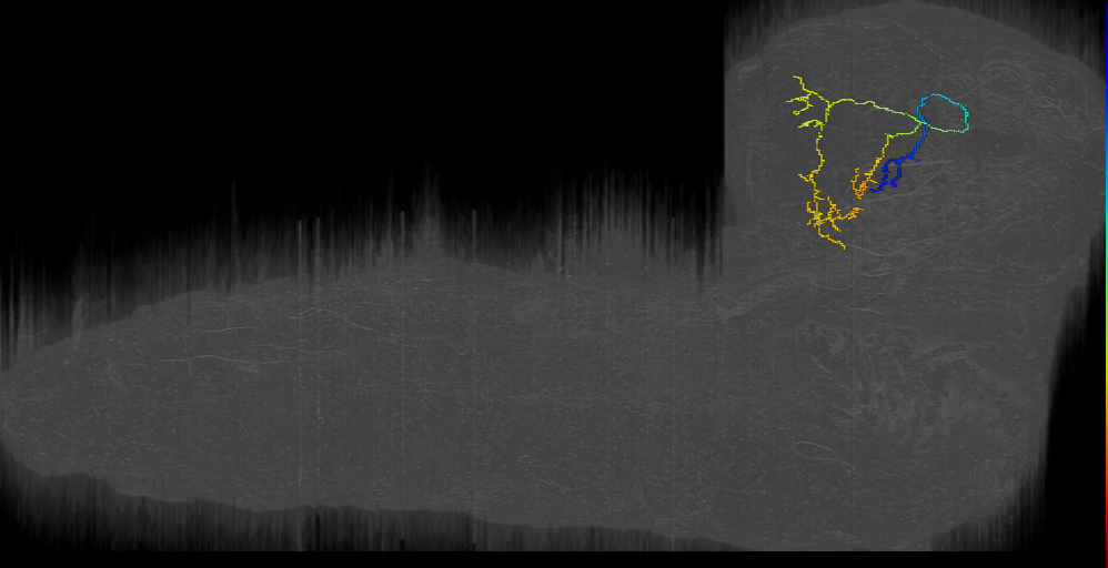 MB2IN-173 (L1EM:9488991)