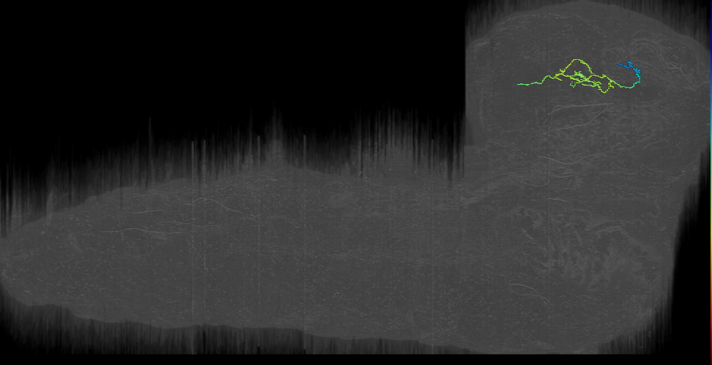 CM4 dor pos 10 left (L1EM:9503428)