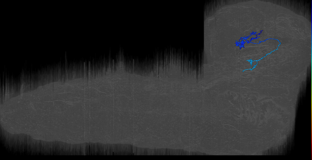 DPlal Curvy right (L1EM:9565674)