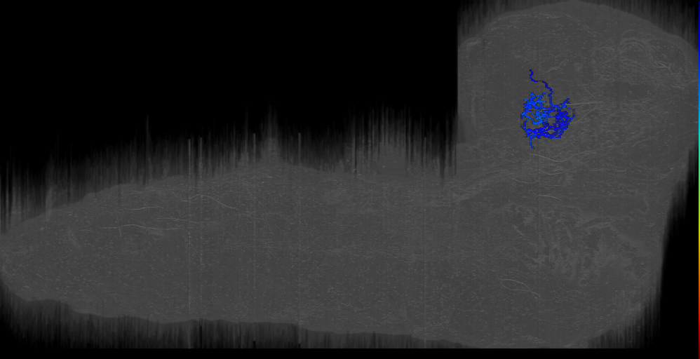 BLDc descending 2 right (L1EM:9621307)