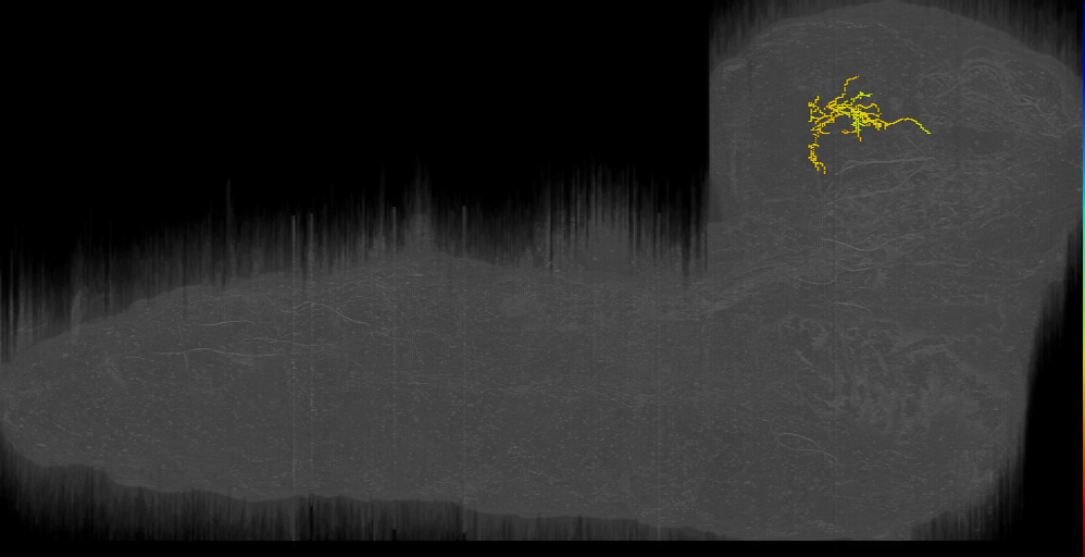 ASB Pointer left (L1EM:9800031)