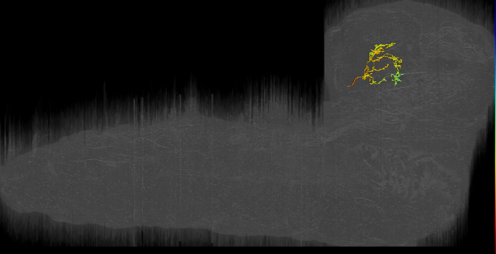MIXED crinkled left; Down to Multi PNs (L1EM:9971209)