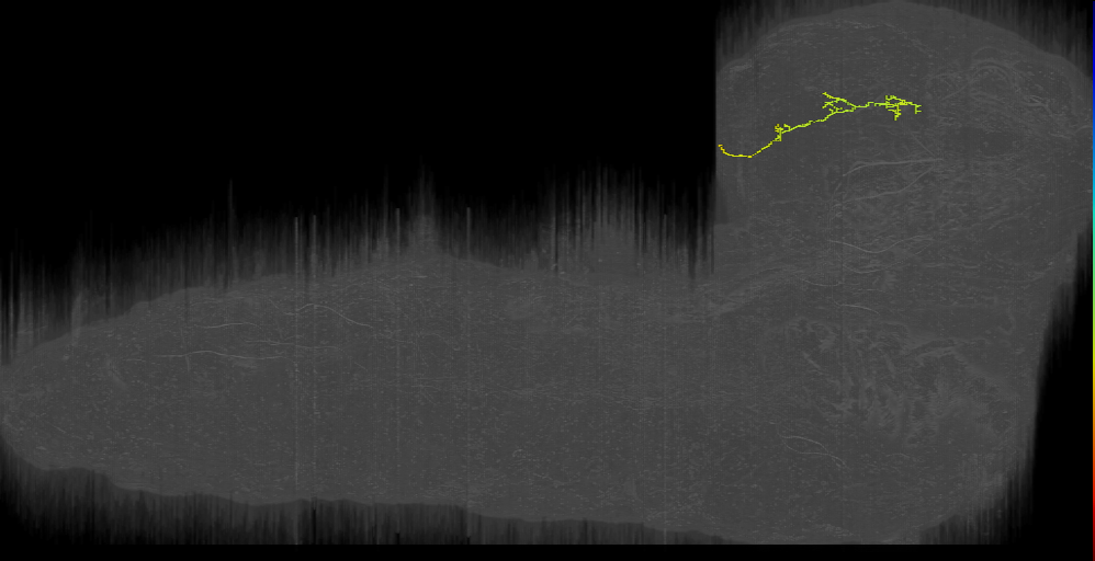 CPb pointer 2 left (L1EM:9983417)
