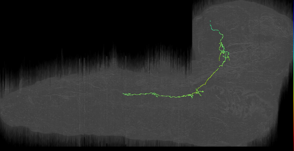 CM4 sparse descending left (L1EM:10018150)