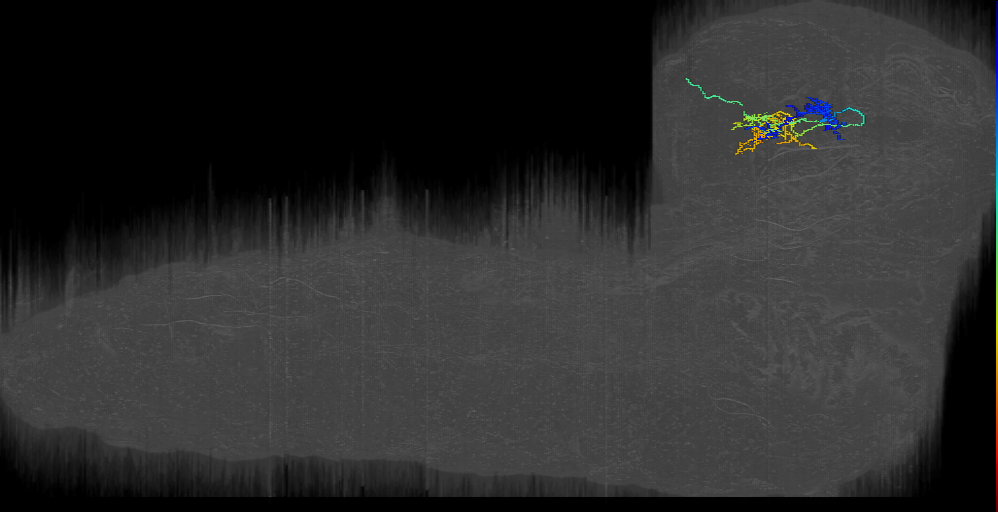MB2ON-235 (L1EM:10018260)