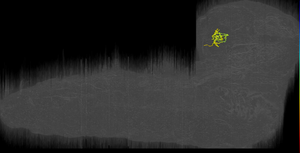 Cheech left (L1EM:10540188)