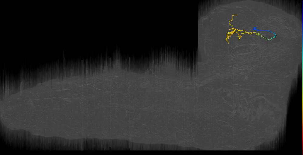 MB2IN-137 (L1EM:10658673)