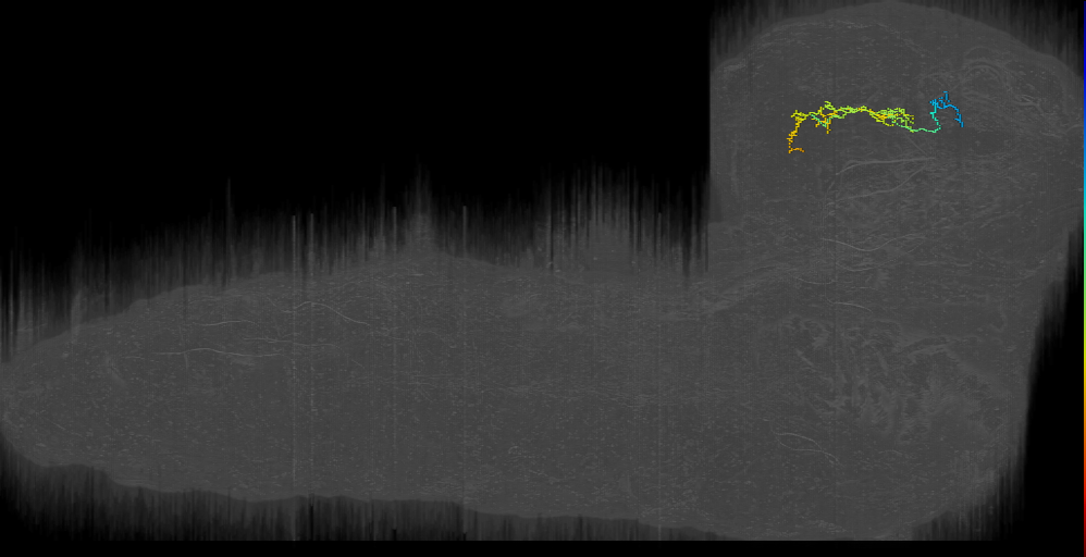 CM4 do pos 3 left (L1EM:10710503)