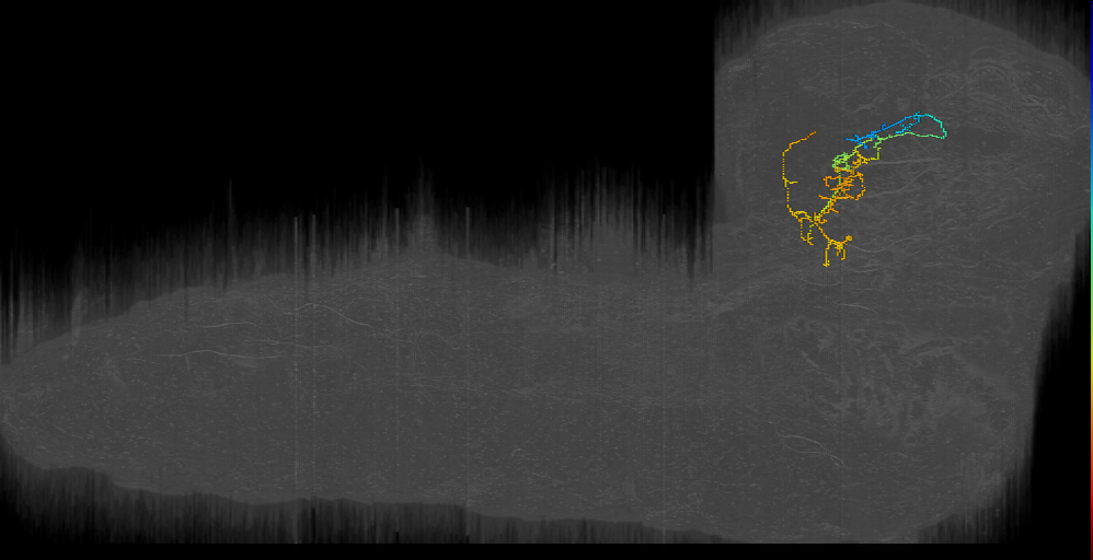 f_down pOLP left (L1EM:10922020)