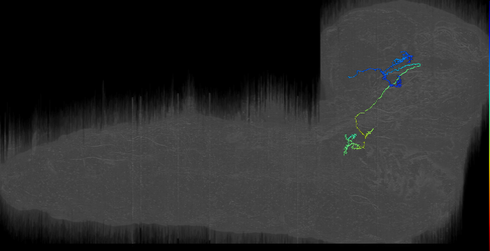 Telegoro-like 2 R (L1EM:10947427)