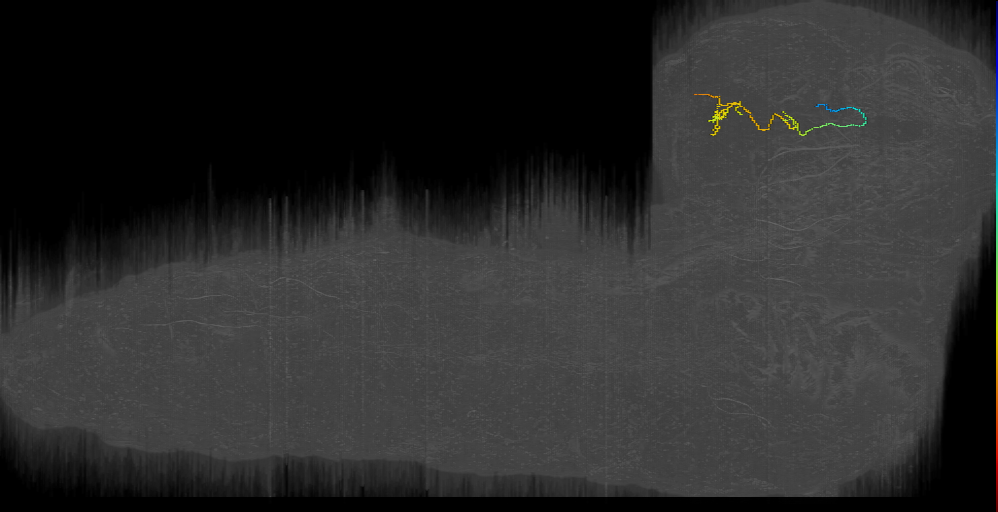 MB2IN-164 (L1EM:10955244)