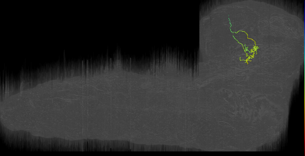 MB2ON-262 (L1EM:11003551)