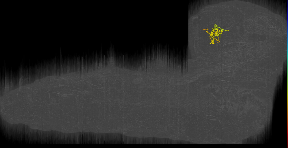 LH-21 (L1EM:11135340)