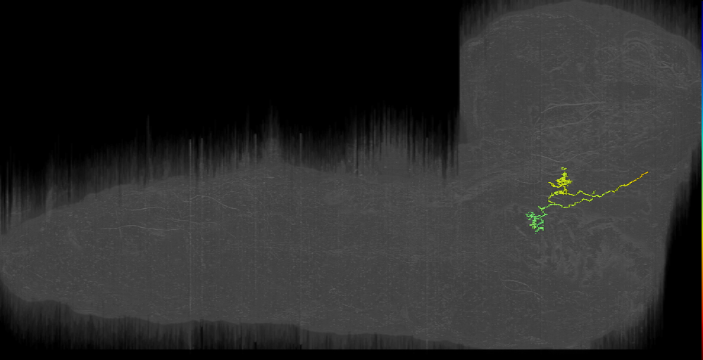 KS LN 4b left (L1EM:11195708)