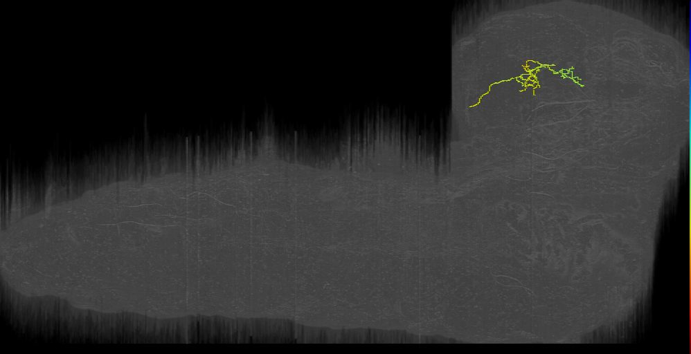 CPb brush left (L1EM:11197975)
