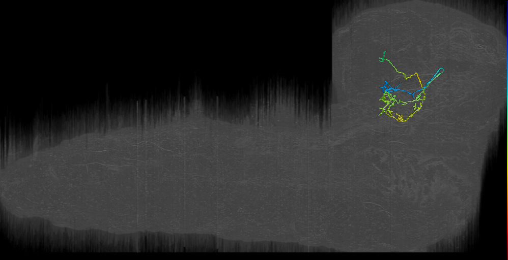 MB2IN-153 (L1EM:11303036)