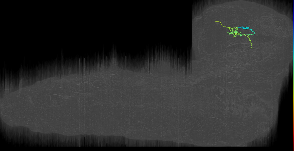 MB2ON-206 (L1EM:11389855)