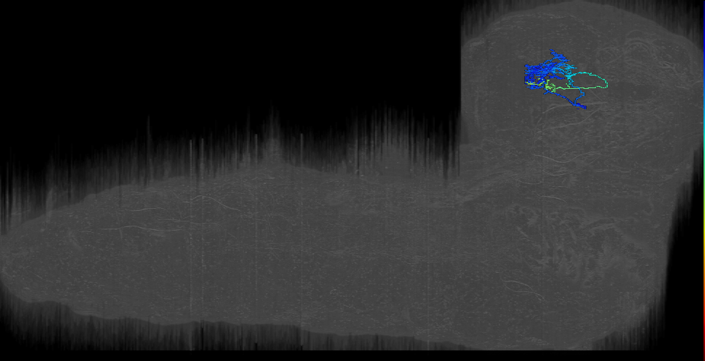 MB2ON-175 (L1EM:11605861)