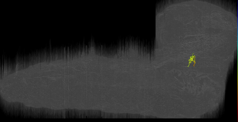 KS LN 3a left (L1EM:11821320)