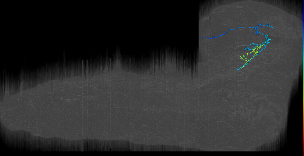 MB2ON-259 (L1EM:12049797)