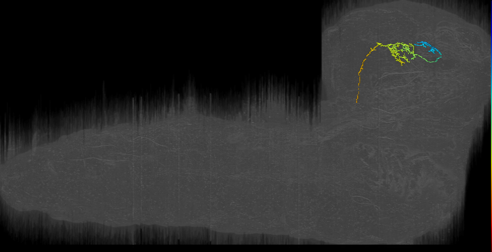 MB2ON-194 (L1EM:12364717)