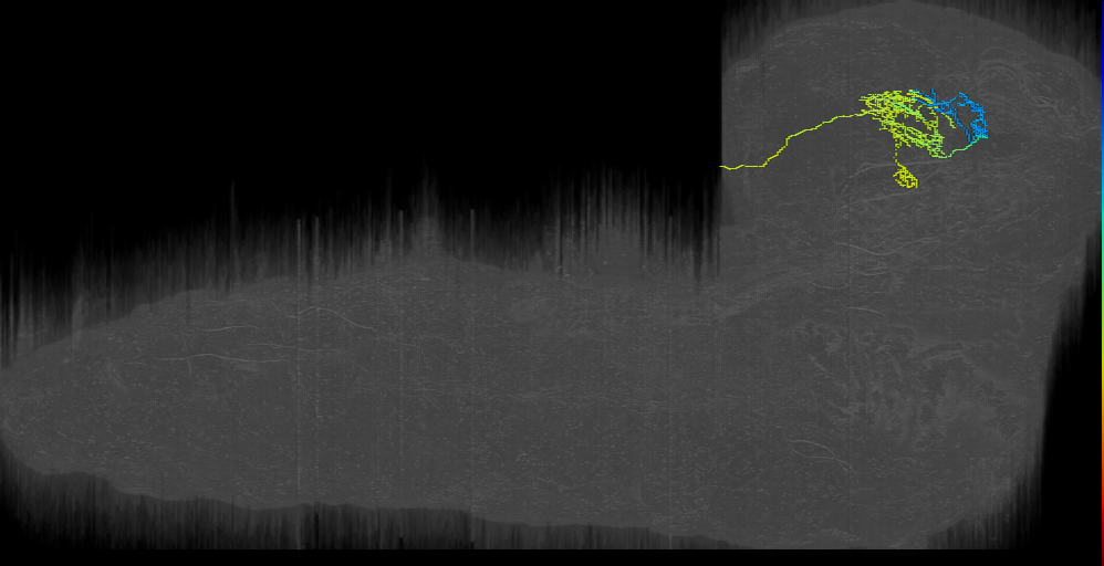 MB2ON-260 (L1EM:12424940)