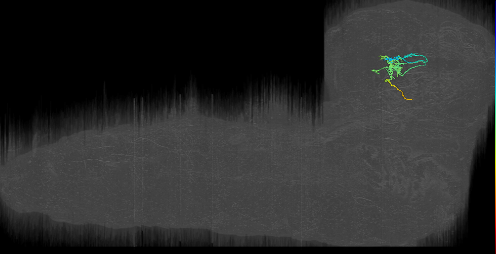 MB2ON-207 (L1EM:12551020)