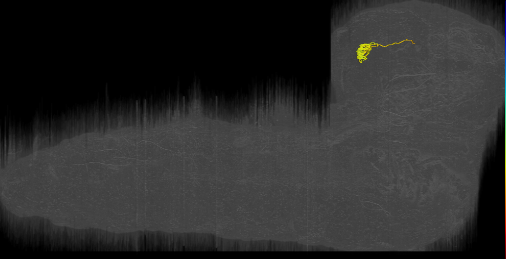 DN1-1 - PDL007 left (L1EM:12745771)