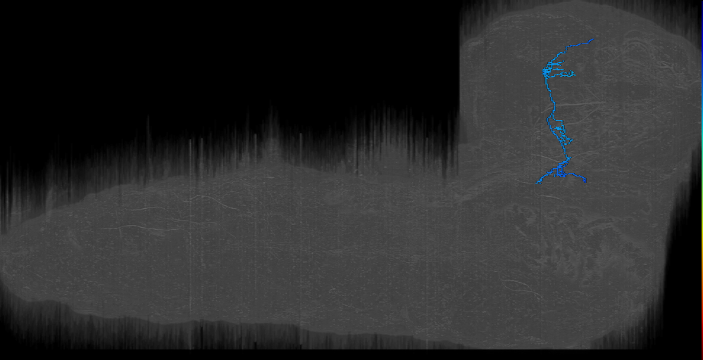 MB2ON-205 (L1EM:13713529)
