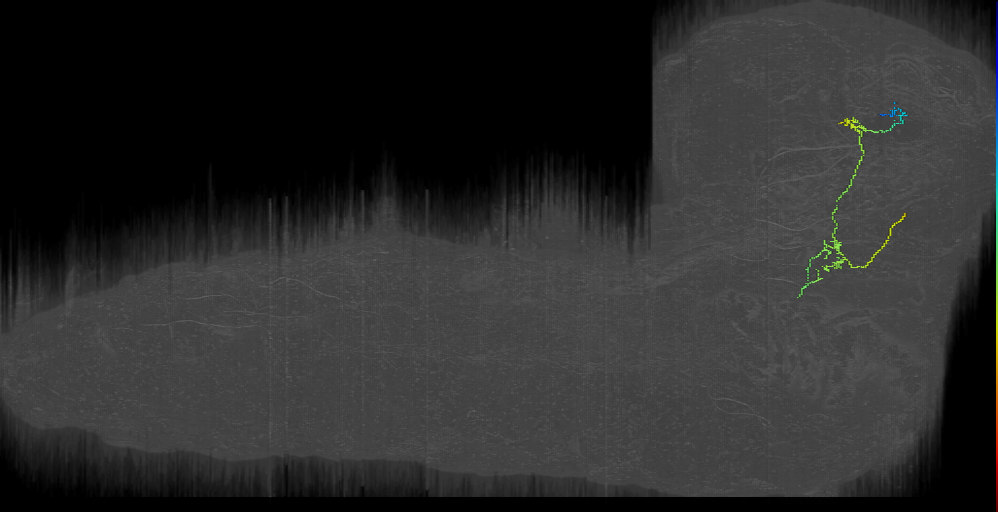 MB2IN-149 (L1EM:13854190)