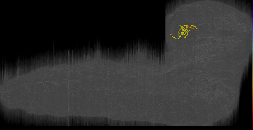 LH-27 (L1EM:14461238)