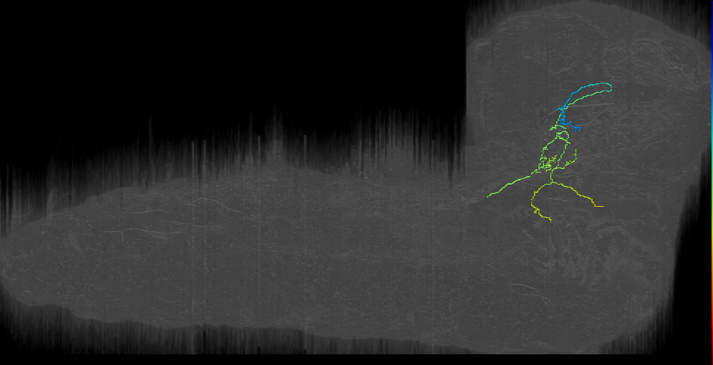 MB2ON-202 (L1EM:14579509)