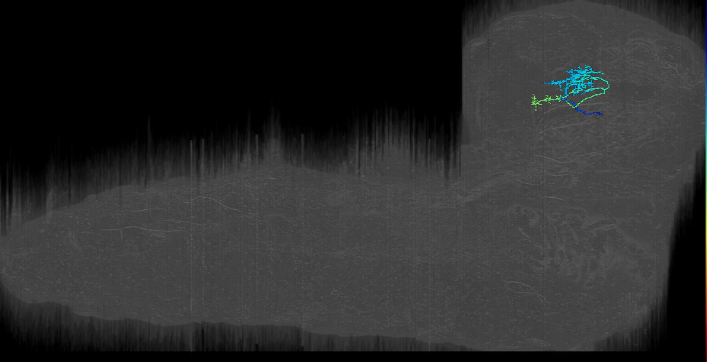 MB2ON-207 (L1EM:14756061)