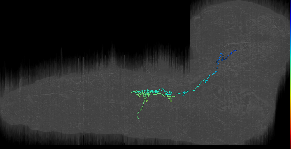 A10i2?_a1l Chair-5-like? (L1EM:15315491)