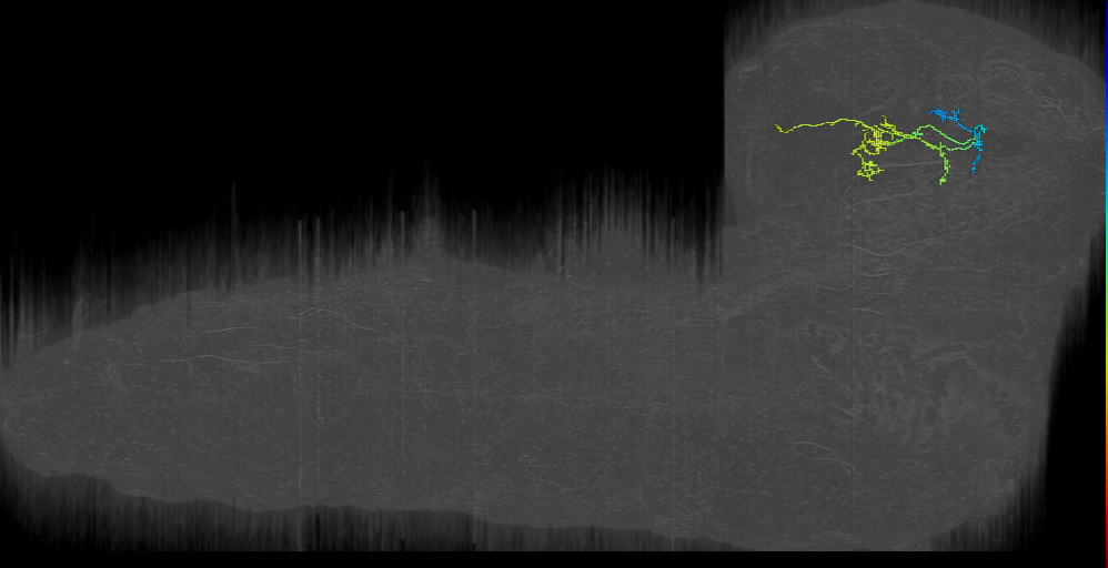 MB2IN-83 (L1EM:15577444)