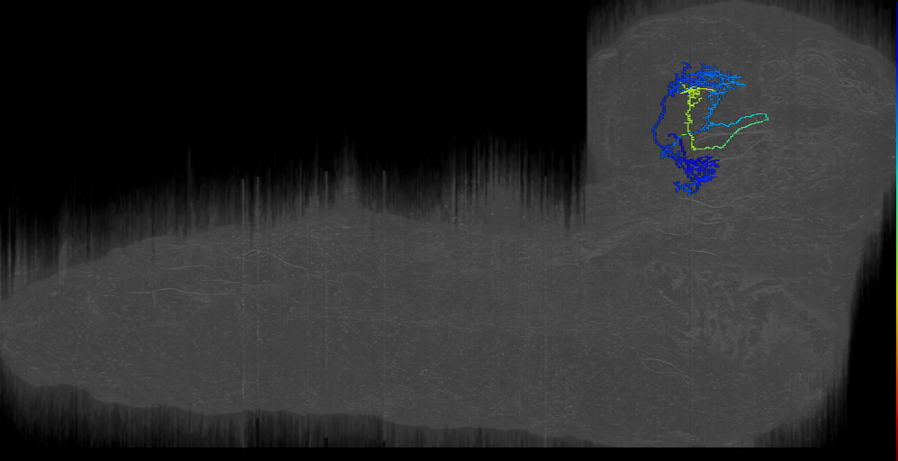 MB2IN-196 (L1EM:15605987)