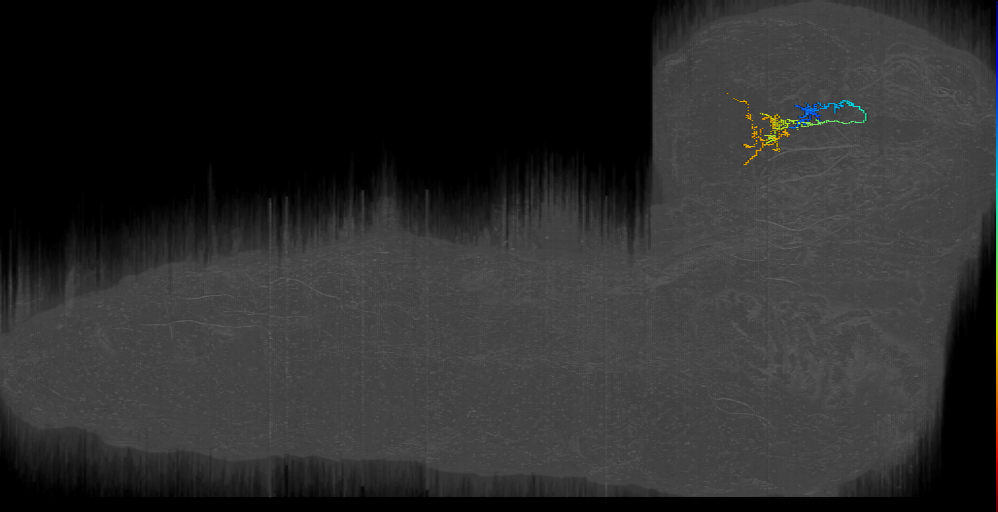 MB2IN-163 (L1EM:15632282)