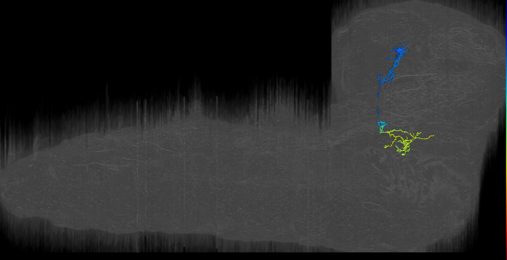 Nag left (L1EM:15718981)
